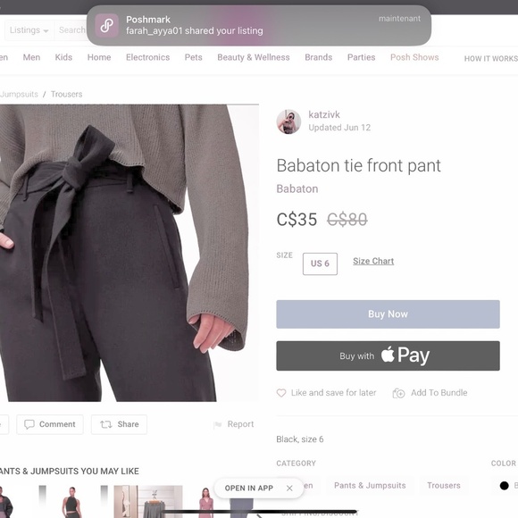 Aritzia Babaton Quillian Pants Charcoal Gray Tie Waist Wide Leg Size 4 - Picture 3 of 16